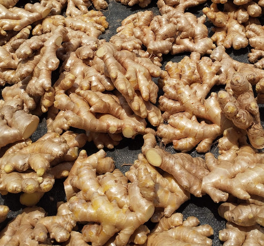 Fresh Ginger